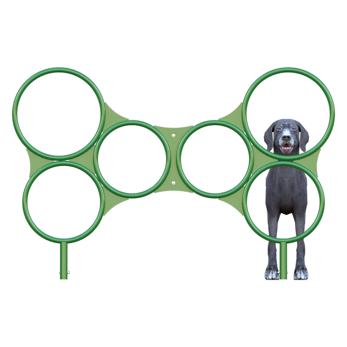 Bone Hoop Jump