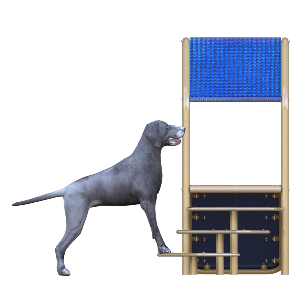 Canine Condo